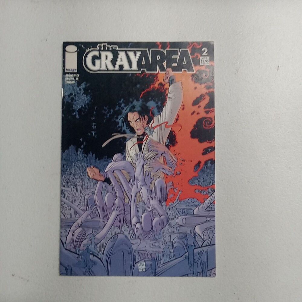 GRAY AREA #2 (IMAGE 2004)